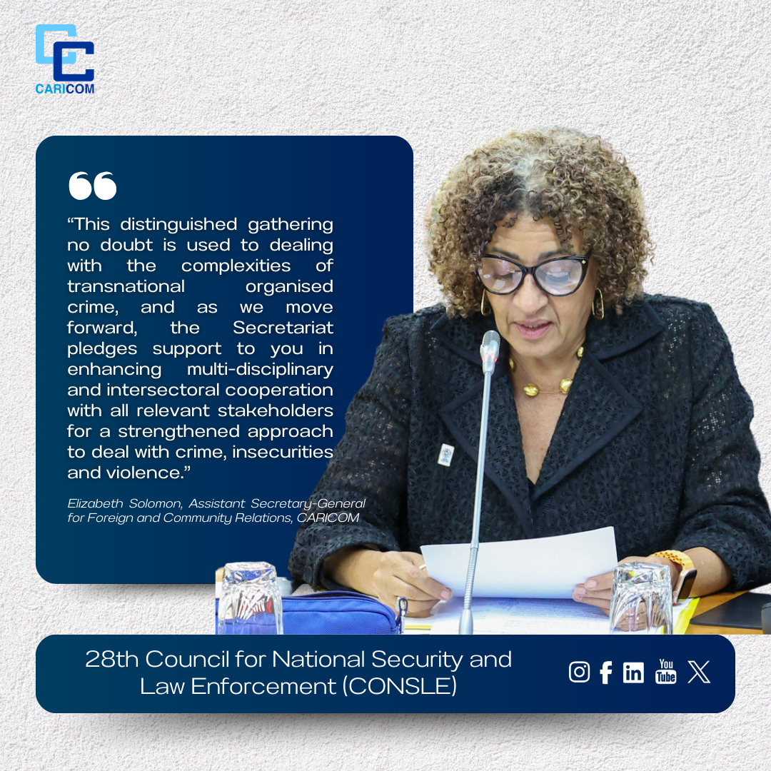 28th Council for National Security and Law Enforcement (CONSLE) (1)