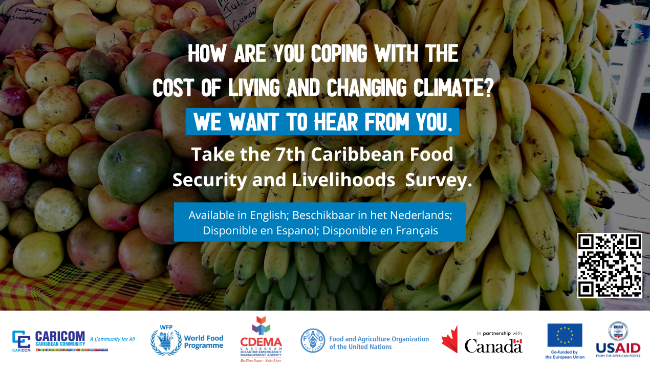 7th Caribbean Food SEcurity and Livelihoods Survey graphic
