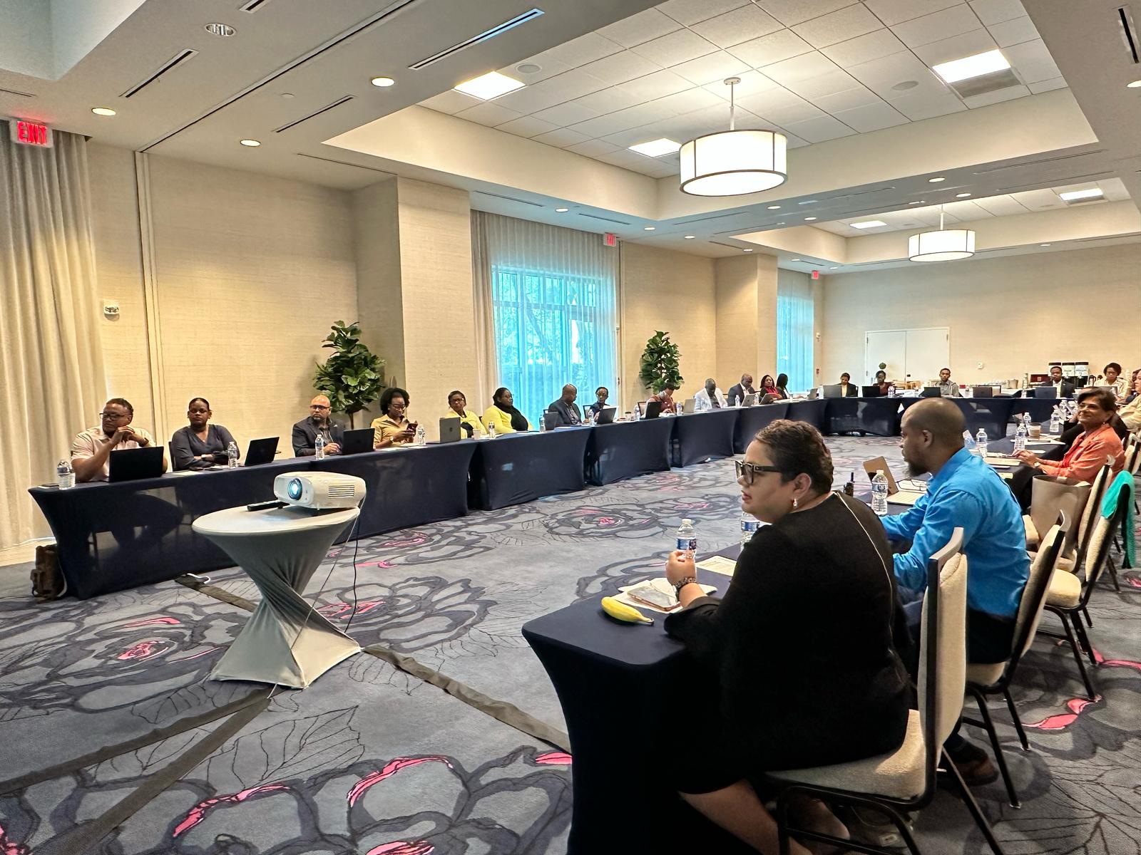 BBNJ Prep Meeting in Miami - In session - April 2025