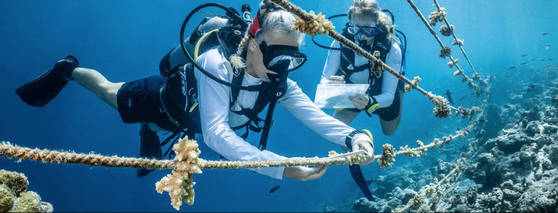 Capture- Researchers in the ocean (UN)