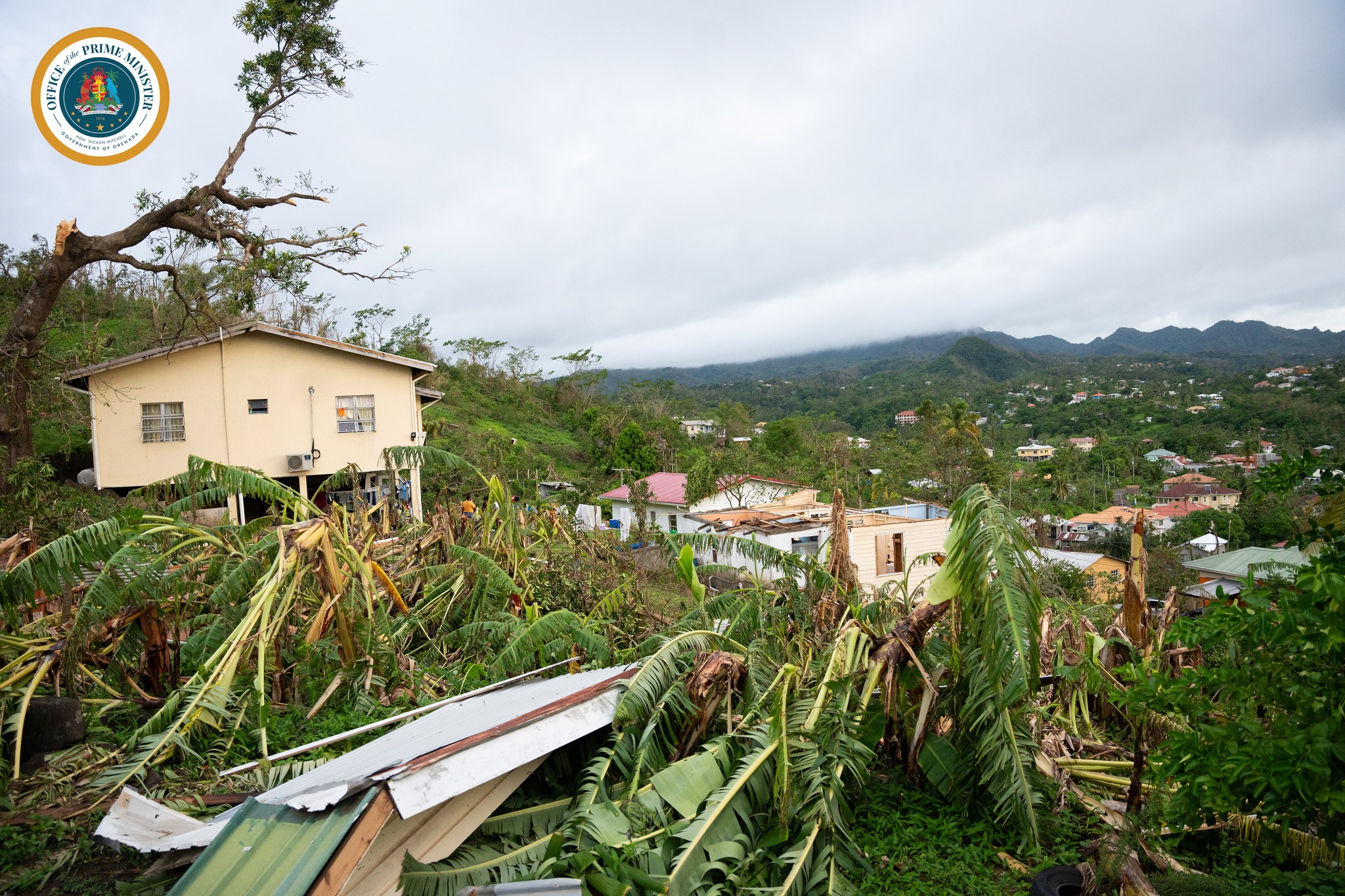 Crops destroyed in Grenada (OPM)