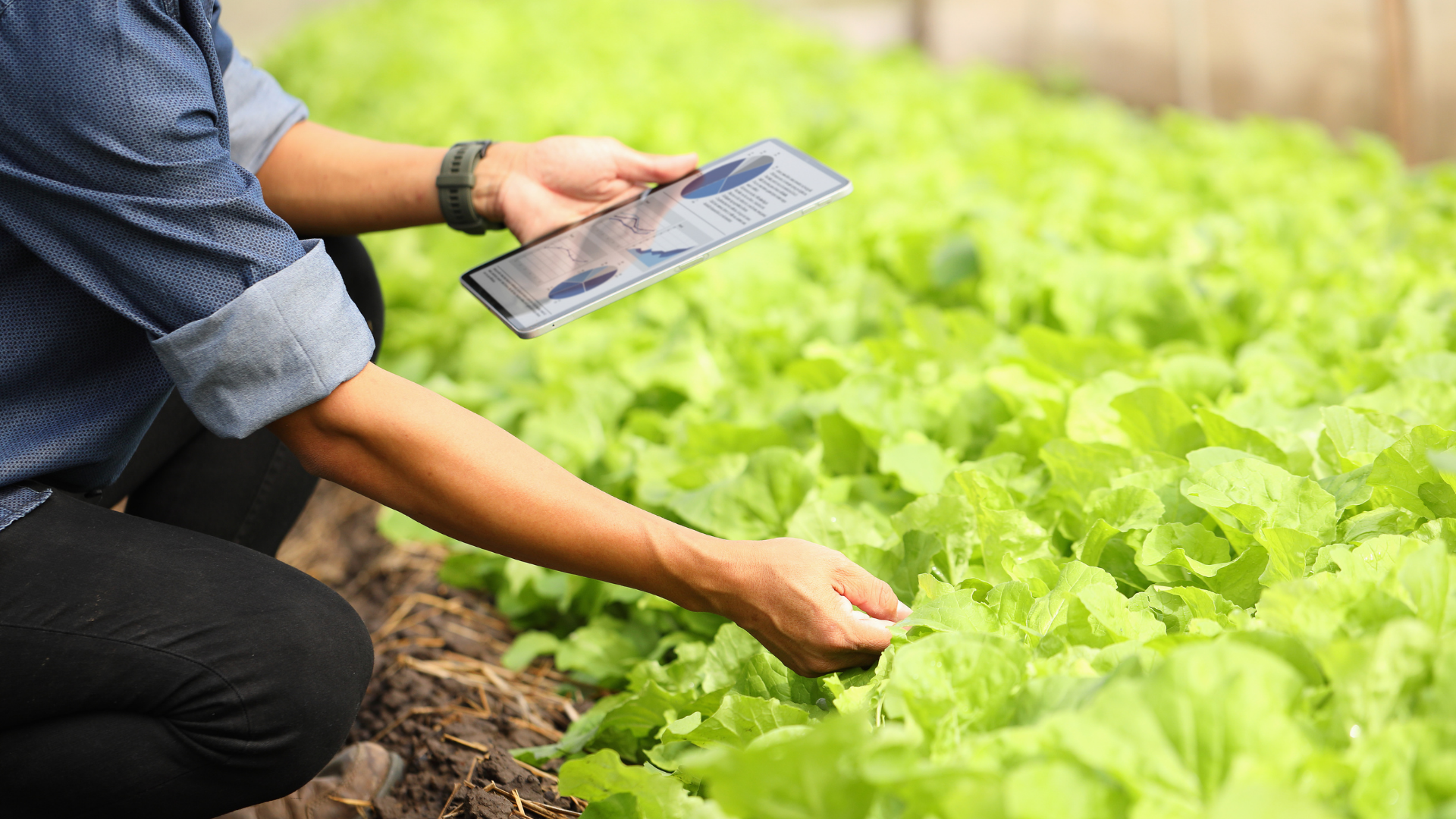 Food Security Survey Results