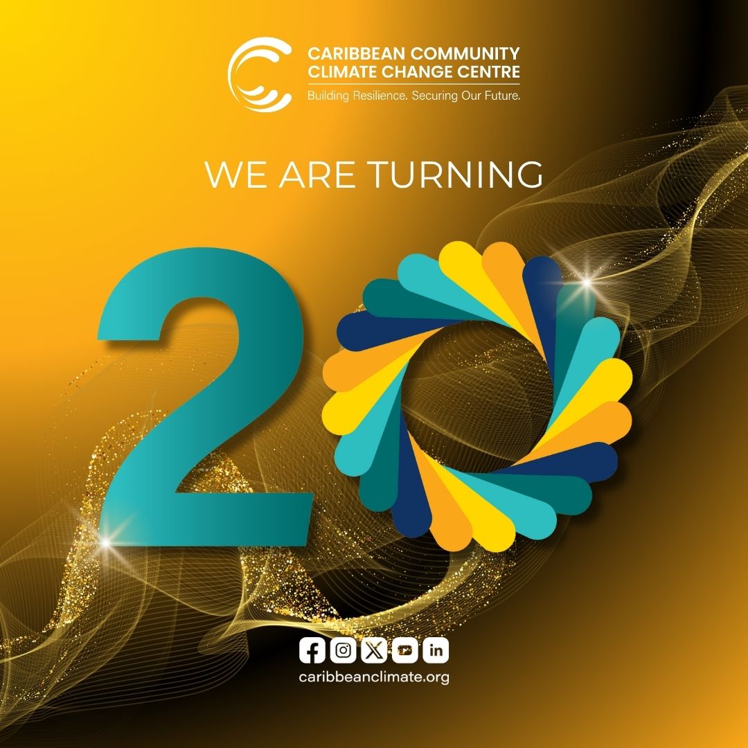 Graphic - CCCCC turn 20