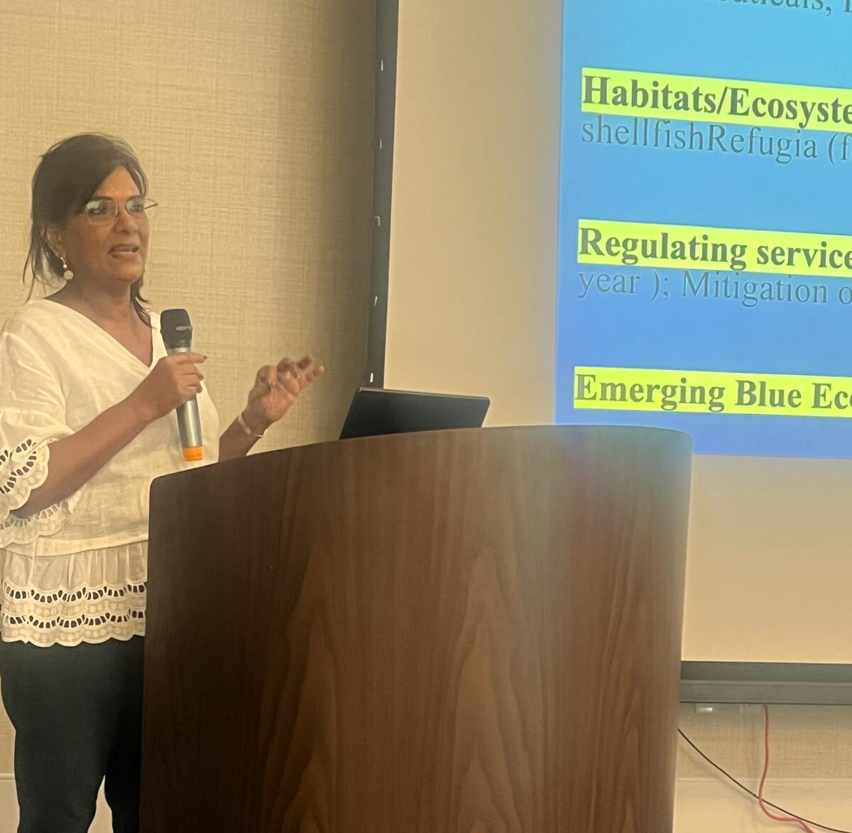 Ocean Governance seminar - Professor Gobin