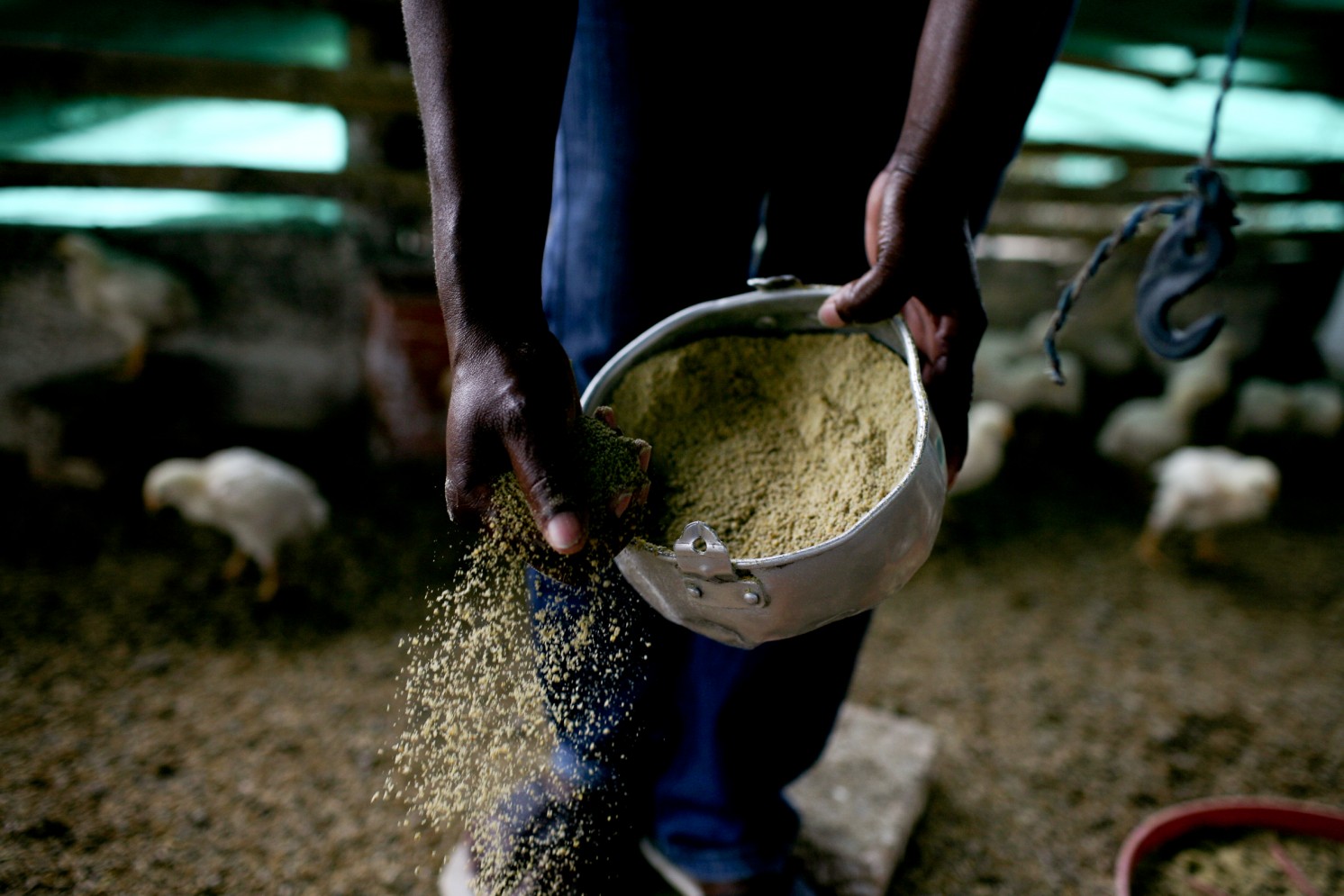 Press release photo_0