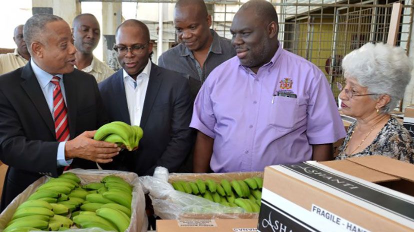 Minister of Agriculture, Labour and Social Security, Hon. Derrick Kellier (left), examines banana being packaged for export, while on a visit to the Agricultural Marketing Corporation (AMC) Complex in Kingston on Friday (January 23). Others (from lef