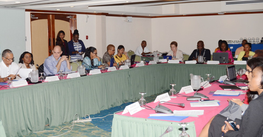 Meeting of CARIFORUM Civil Society Organisations Preparatory to the Second Meeting of the CARIFORUM-EU Consultative Committee, 16-17 February 2016, Barbados