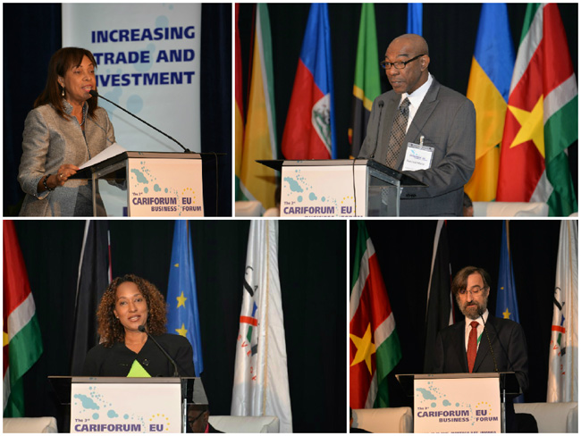 Speakers at the CARIFORUM -EU Business Forum