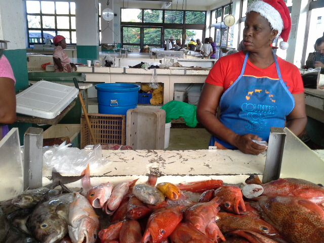 Value chain analysis will also look at improving the supply of fresh reef fish at Caribbean markets (Photo via CRFM)