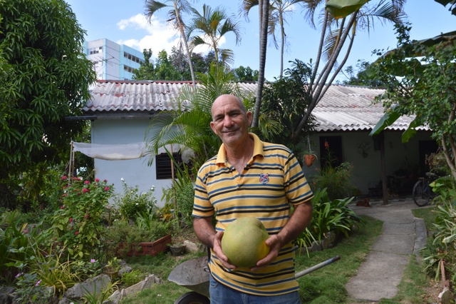 Fidel P&eacute;rez, who practices permaculture, grows giant oranges from China in his yard in Santiago de Cuba. Credit: Courtesy Randy Rodr&iacute;guez Pag&eacute;s/SEMlac
