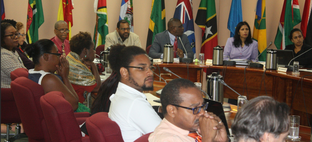 Incoming Dean of the CARICOM Youth Ambassador Corps, Mr. Klieon John  (third from left) participates in the PANCAP Meeting.