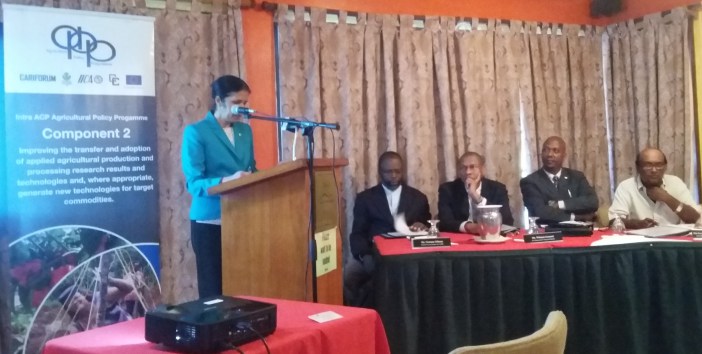 CARICOM Deputy Secretary-General, Ambassador Manorma Soeknandan addresses the opening of the regional meeting