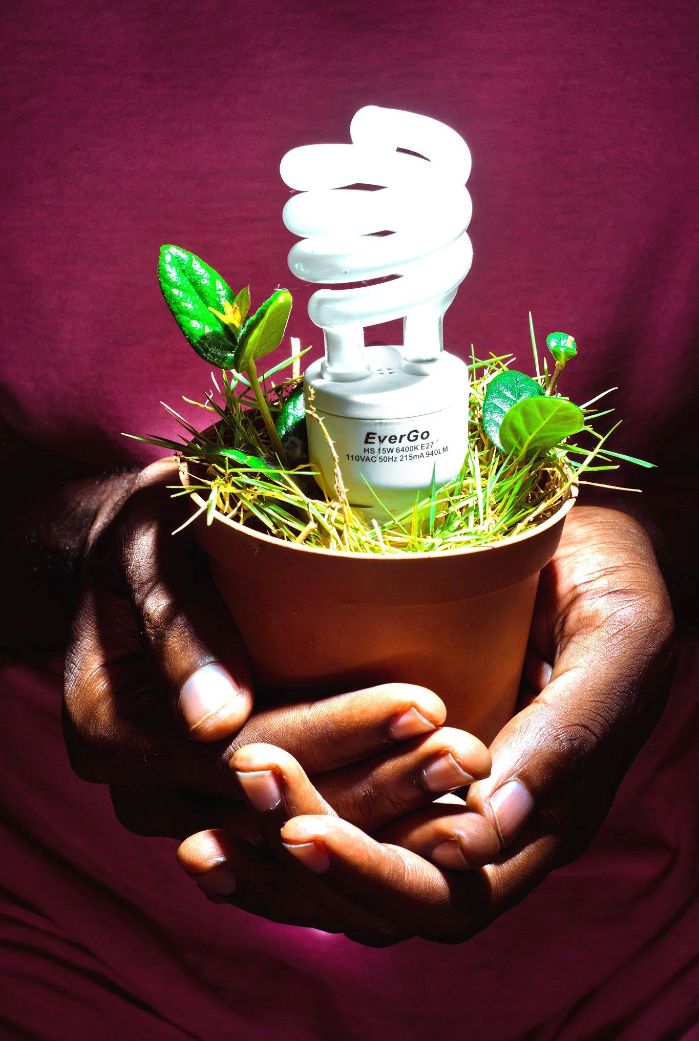 Energy caricom energy month