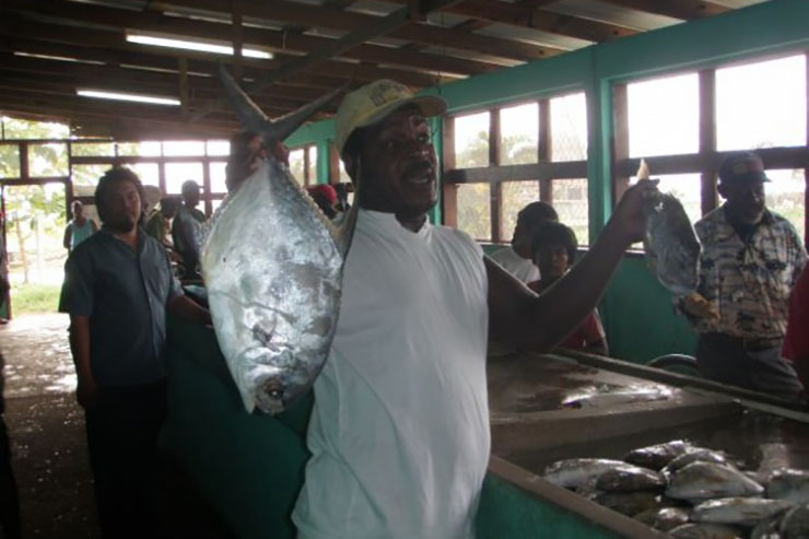Vendors at the fish market in Belize. Courtesy of the Fisheries Department Belize City, Belize.