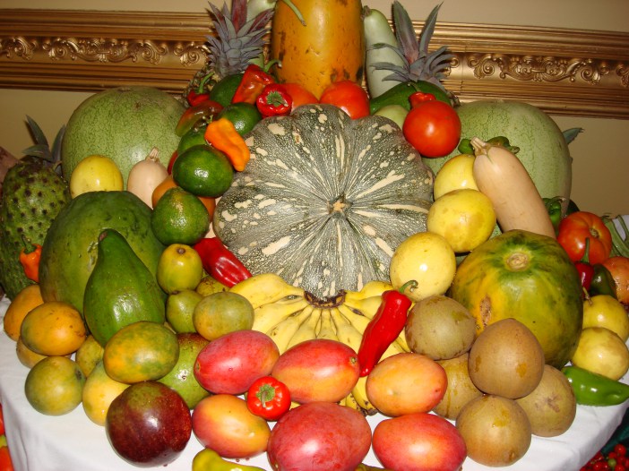 Diet and nutrition are key to preventing NCDs