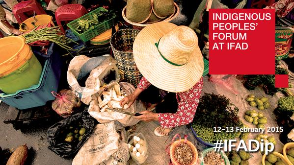 Food security and a balanced diet for all must be combined with the knowledge of indigenous peoples&rsquo; food systems and livelihoods as a contribution to sustainable development. Credit: IFAD