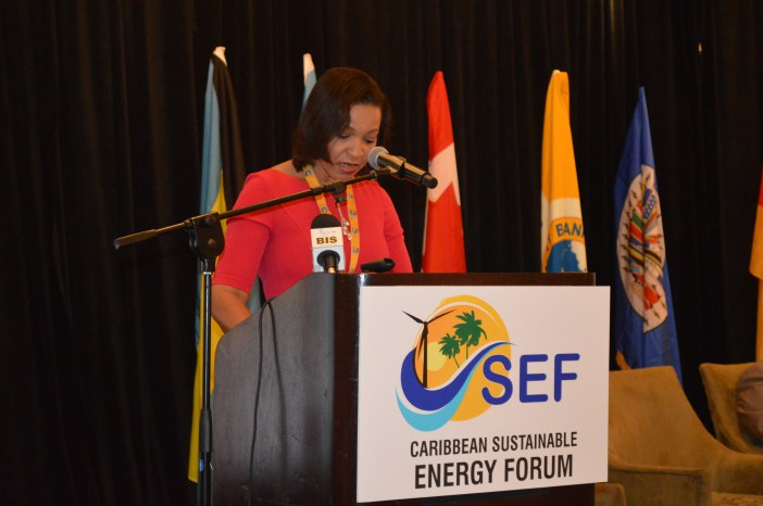 LESS DIALOGUE, MORE IMPLEMENTATION: Ms Kim Osborne, Executive Secretary, Executie Secretariat for Integral Development of the OAS (Photo via OAS)