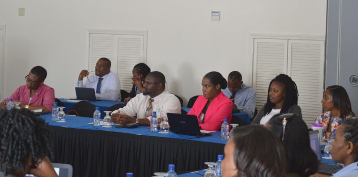 Donovan Herbert (centre) amongst participants at the LMIS workshop (Photo via SKNIS)