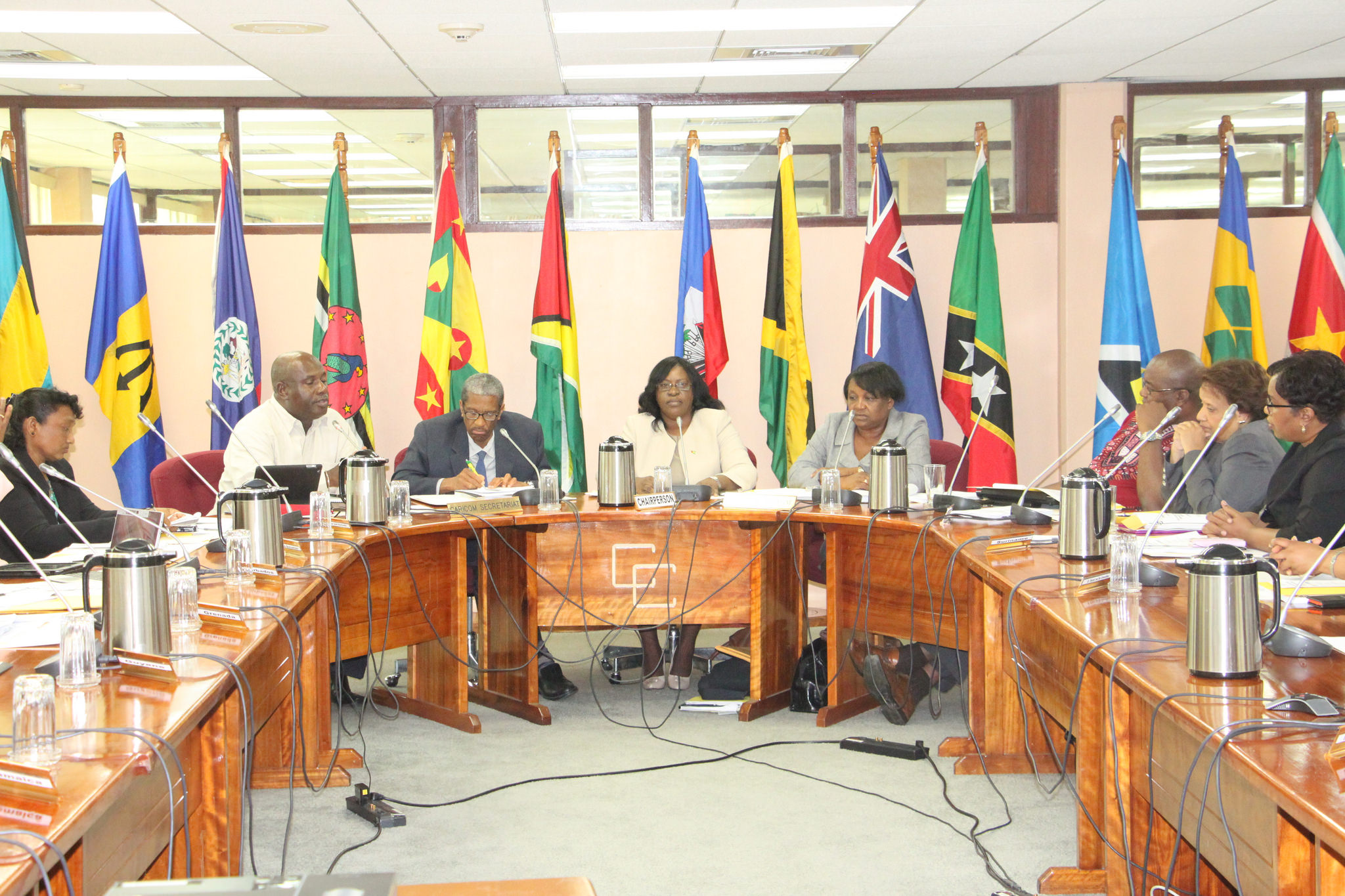 Delegates at the 42nd Annual General Meeting of the Regional Nursing Body (RNB) being held at the CARICOM Secretariat located in Turkeyen Guyana August 11-14, 2015. At the head of the table from left are Programme Manager, Health Sector Development a