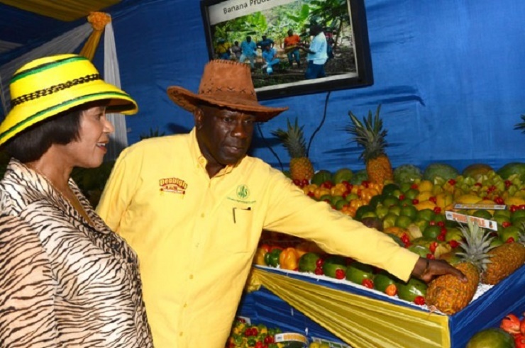 Prime Minister Portia Simpson-Miller admires farm produce on display at the Denbigh Agricultural and Industrial Show on Sunday. At right is President of the Jamaica Agricultural Society Senator Norman Grant. (Photo: Mark Bell/JIS)