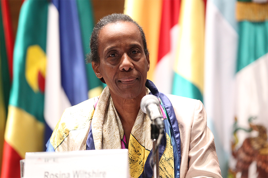 Dr. Rosina Wiltshire, CARICOM Advocate For Gender Justice