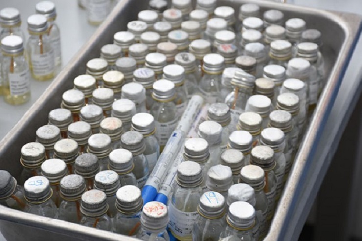 Samples to be tested at the National Virology Reference Laboratory at the University Hospital of the West Indies (UHWI).