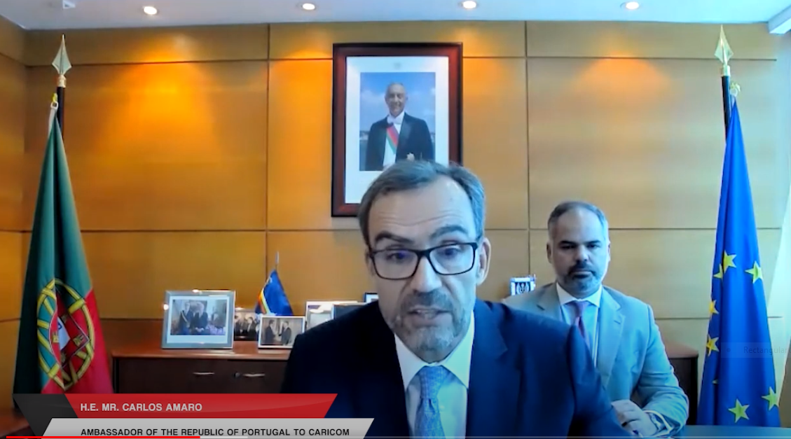 Ambassador_Amaro-presenting