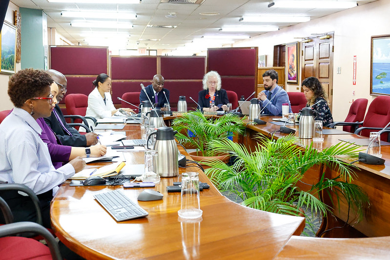 CARICOM UK consultation