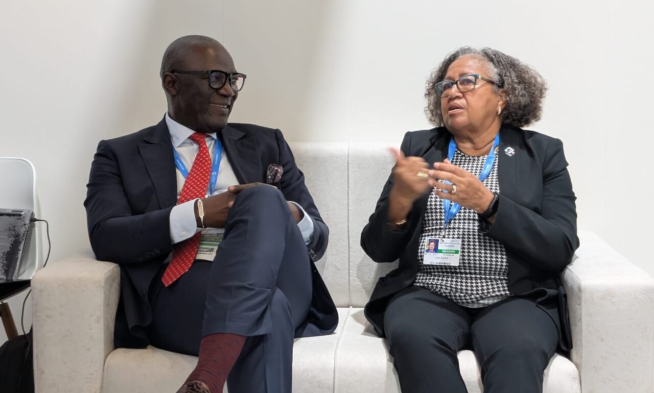 COP-29-SG-and-Head-of-Loss-and-Damage-fund