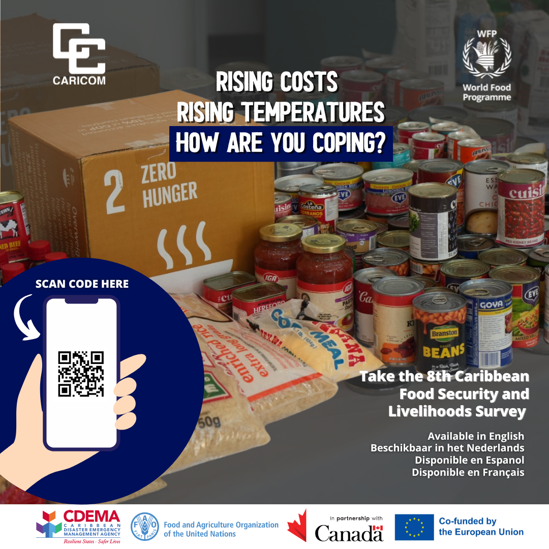 Flyer - Livelihood survey - canned food