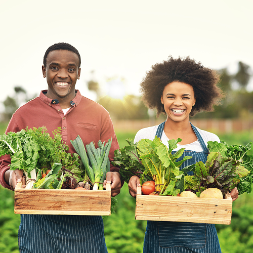 Food and Nutrition Security