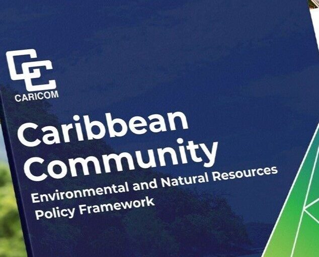 Graphic - Policy Framework QR Code cropped2