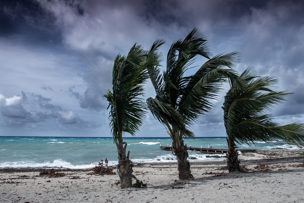 Tropical,Storm,Ida,Batters,The,Coastline,Of,The,Cayman,Islands.