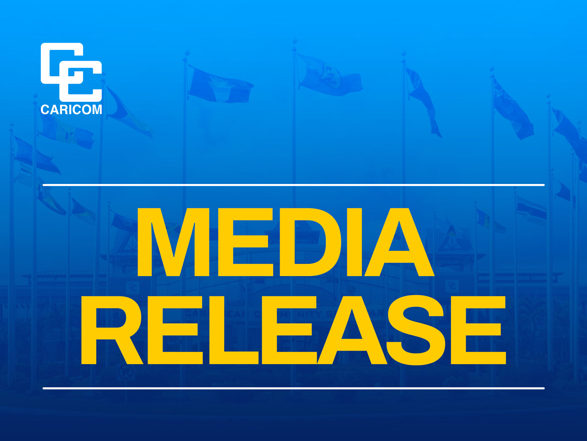 MRDIA-RELEASE-TEMPLATE