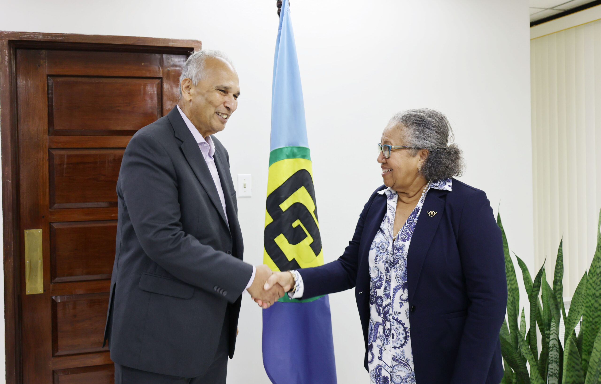 Meeting between the Secretary-General and Dr Ibrahim