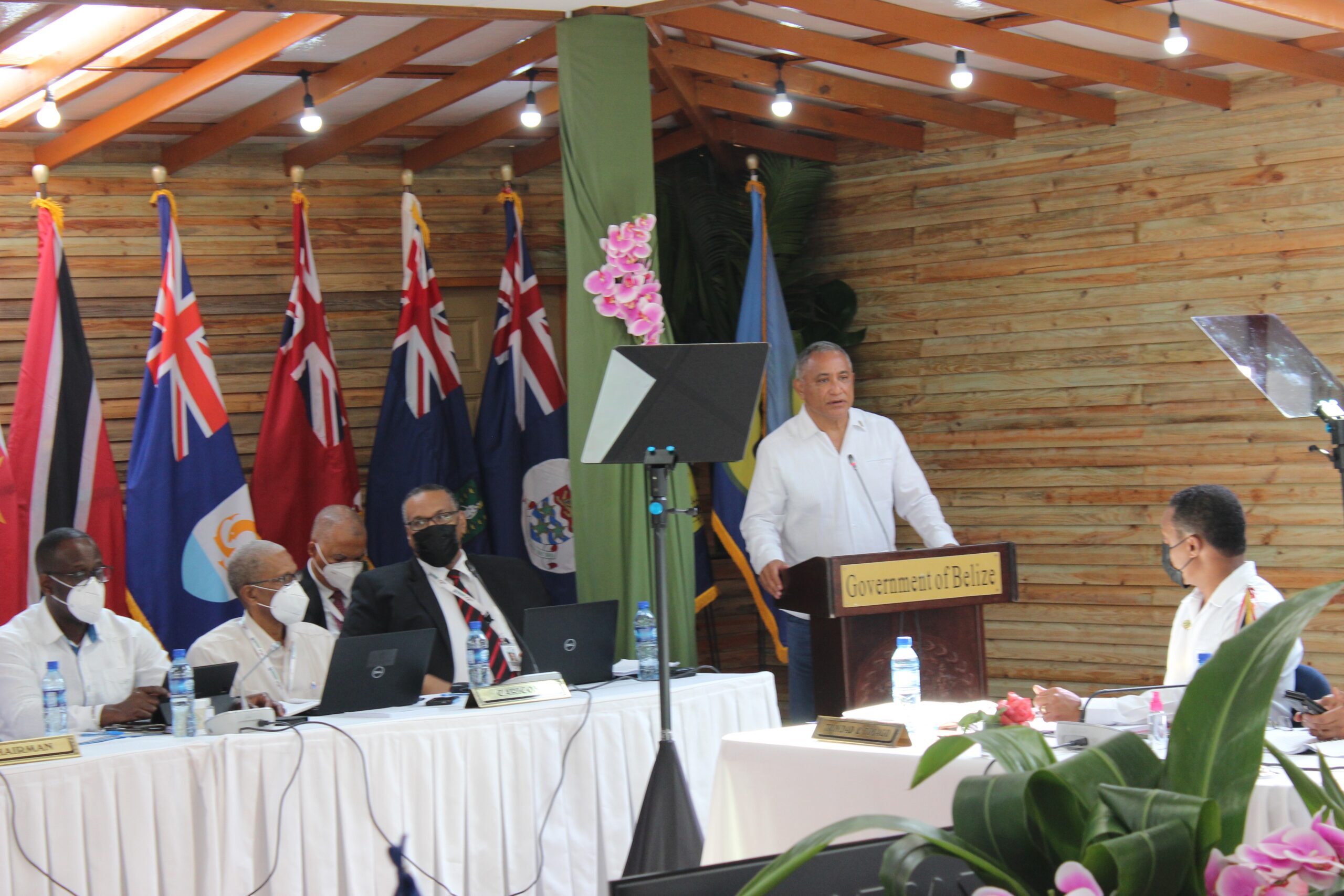 PM-Bricineo-addressing