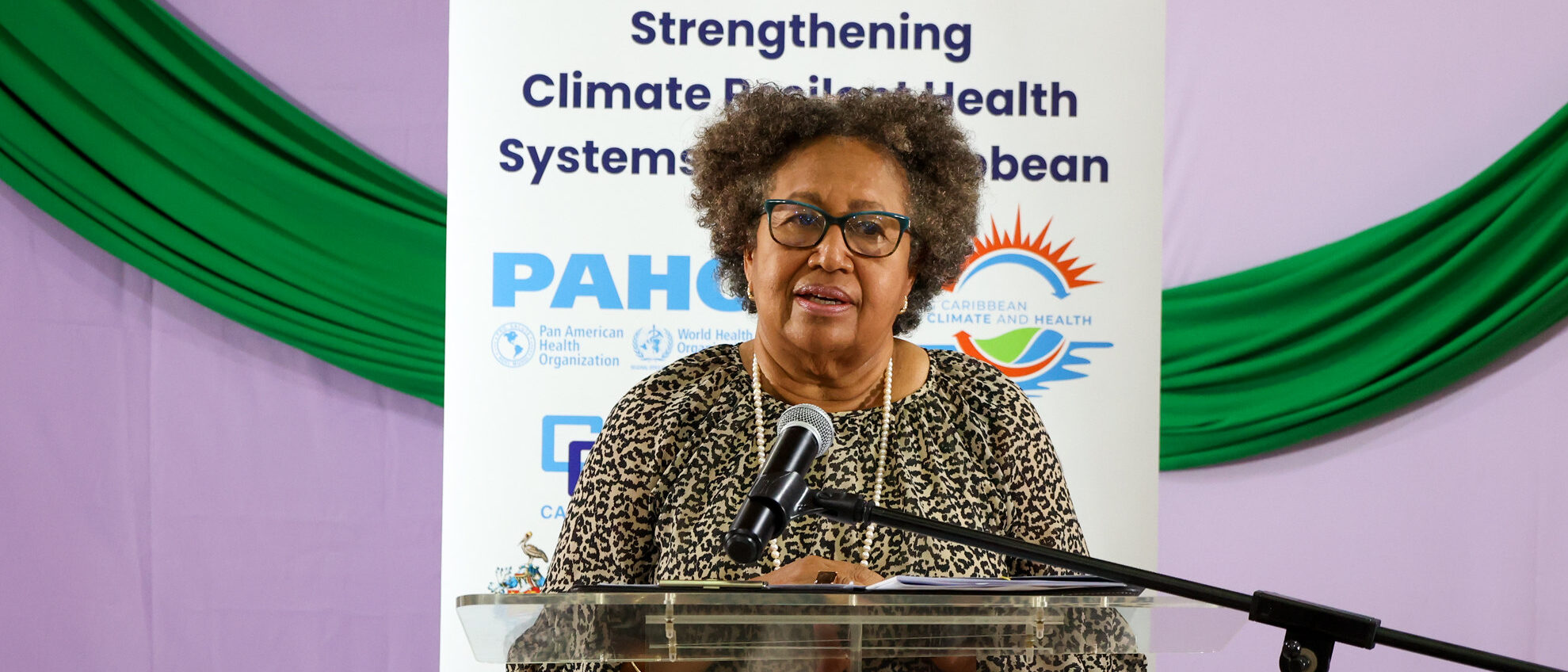 SG at Climate Change and Health