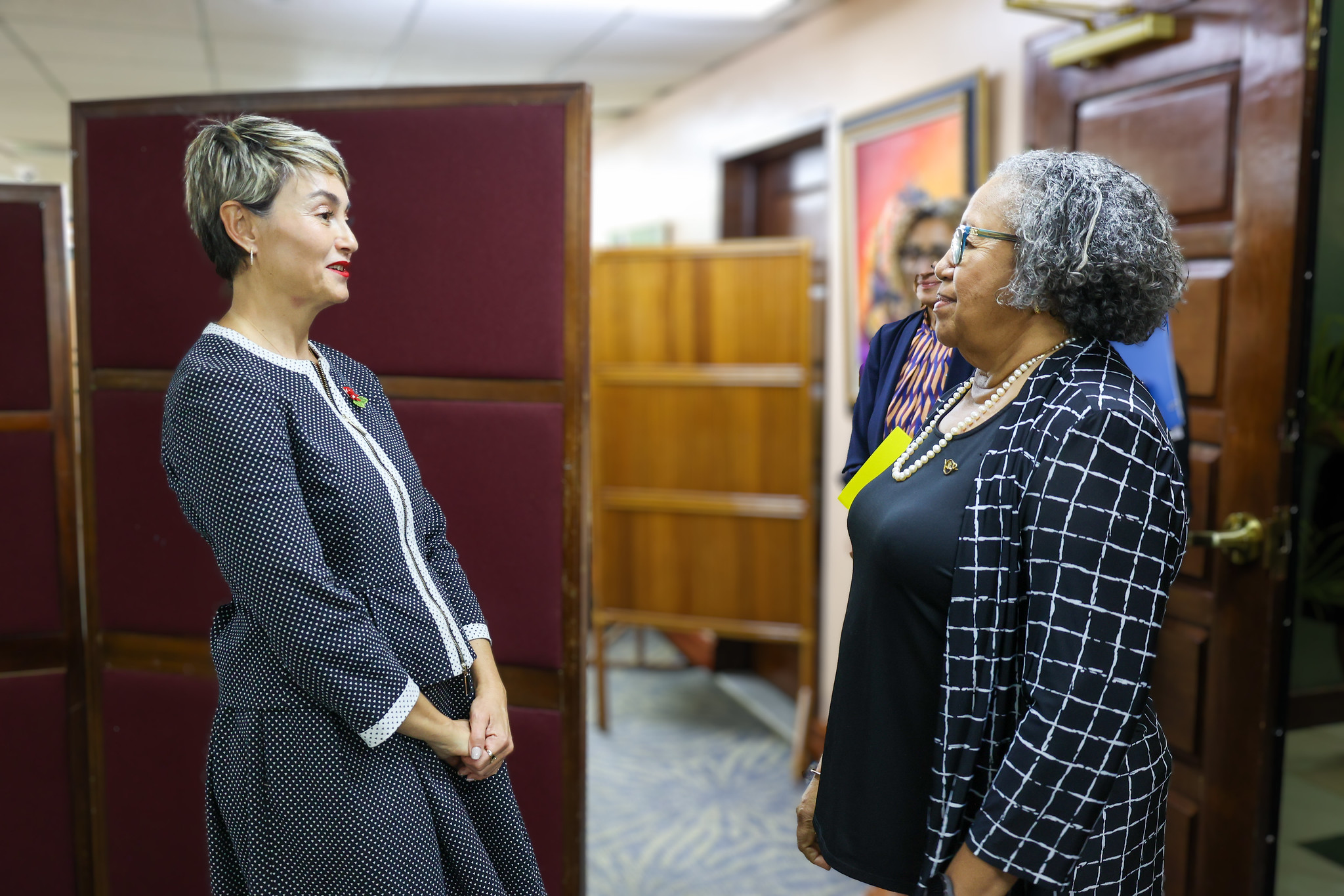 SG chats with Ambassador before accreditation