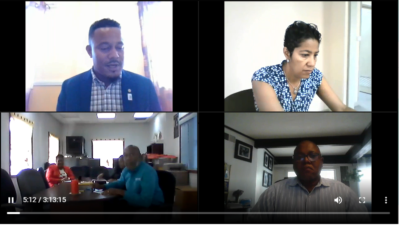 Special Meeting of NAP Managers and Key Partners June 2020