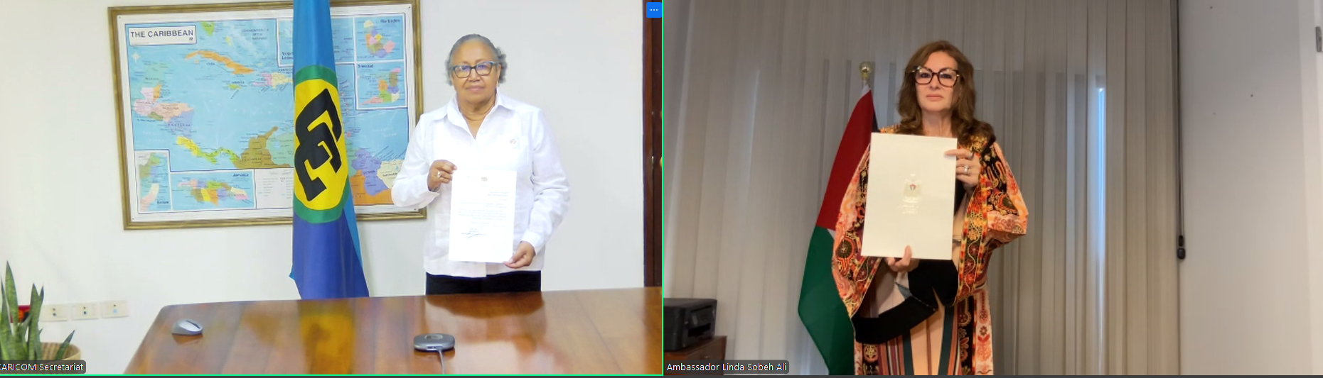 Virtual Accreditation Ceremony of Palestine