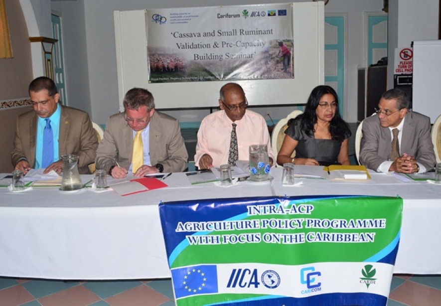 Minister of Agriculture, Dr Leslie Ramsammy, Head of the European Union Delegation Ambassador Robert Kopecky, Inter-American Institute for Cooperation on Agriculture (IICA) representative, Wilmot Garnett, Programme Manager, Agriculture and Industry C
