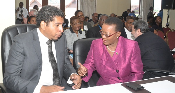 Foreign Minister Camillo Gonsalves of St Vincent and the Grenadines chats with his Bajan counterpart McLean (photo by Kingsley Roberts)