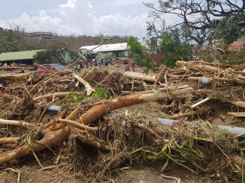 Downed trees in Dominica