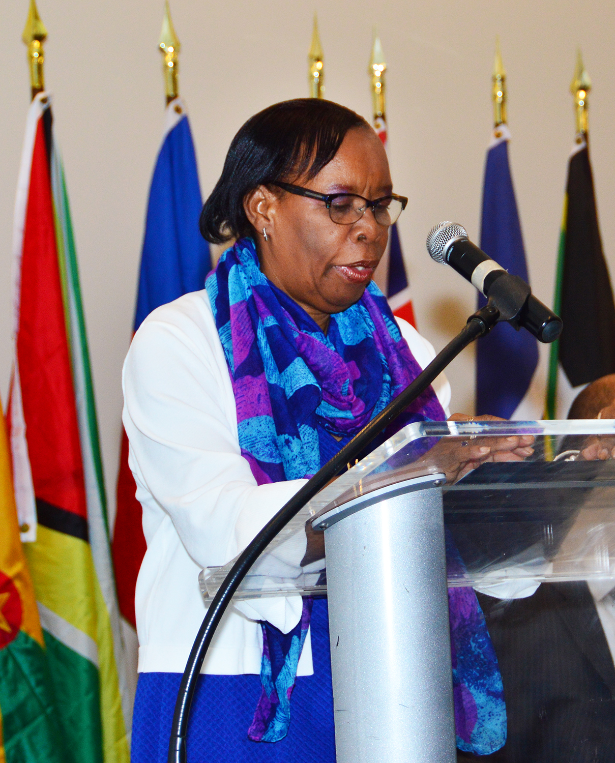 Dr. Philomen Harrison, Project Director, Regional Statistics, CARICOM Secretariat, addresses the opening ceremonyClick and drag to move Dr. Philomen Harrison, Project Director, Regional Statistics, CARICOM Secretariat, addresses the opening ceremony