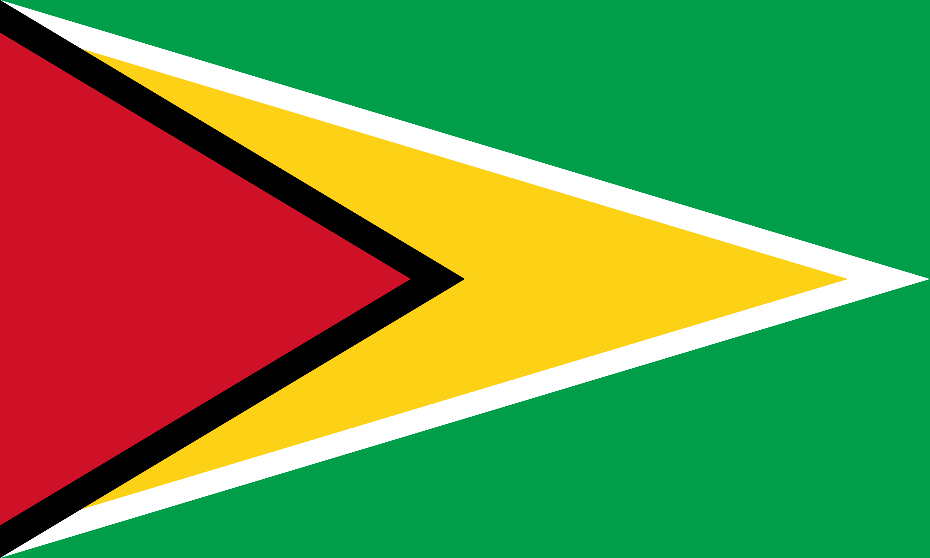 guyana-flag_3000x1800