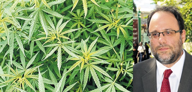 Senator Mark Golding