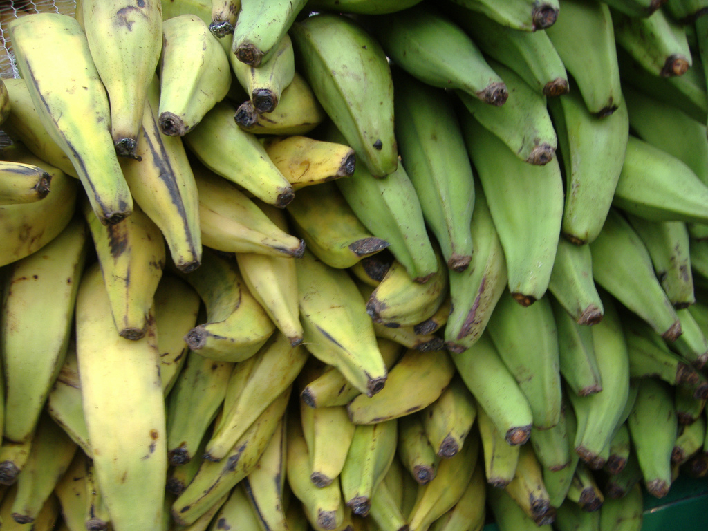 Plaintains