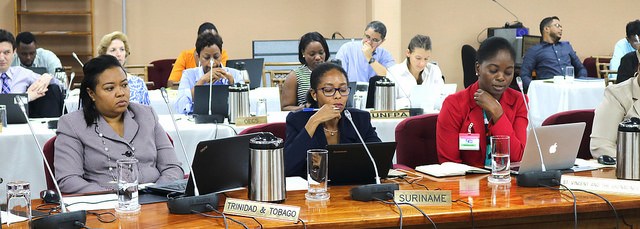 regional-census-coordinating-unit-tt-suriname-participants