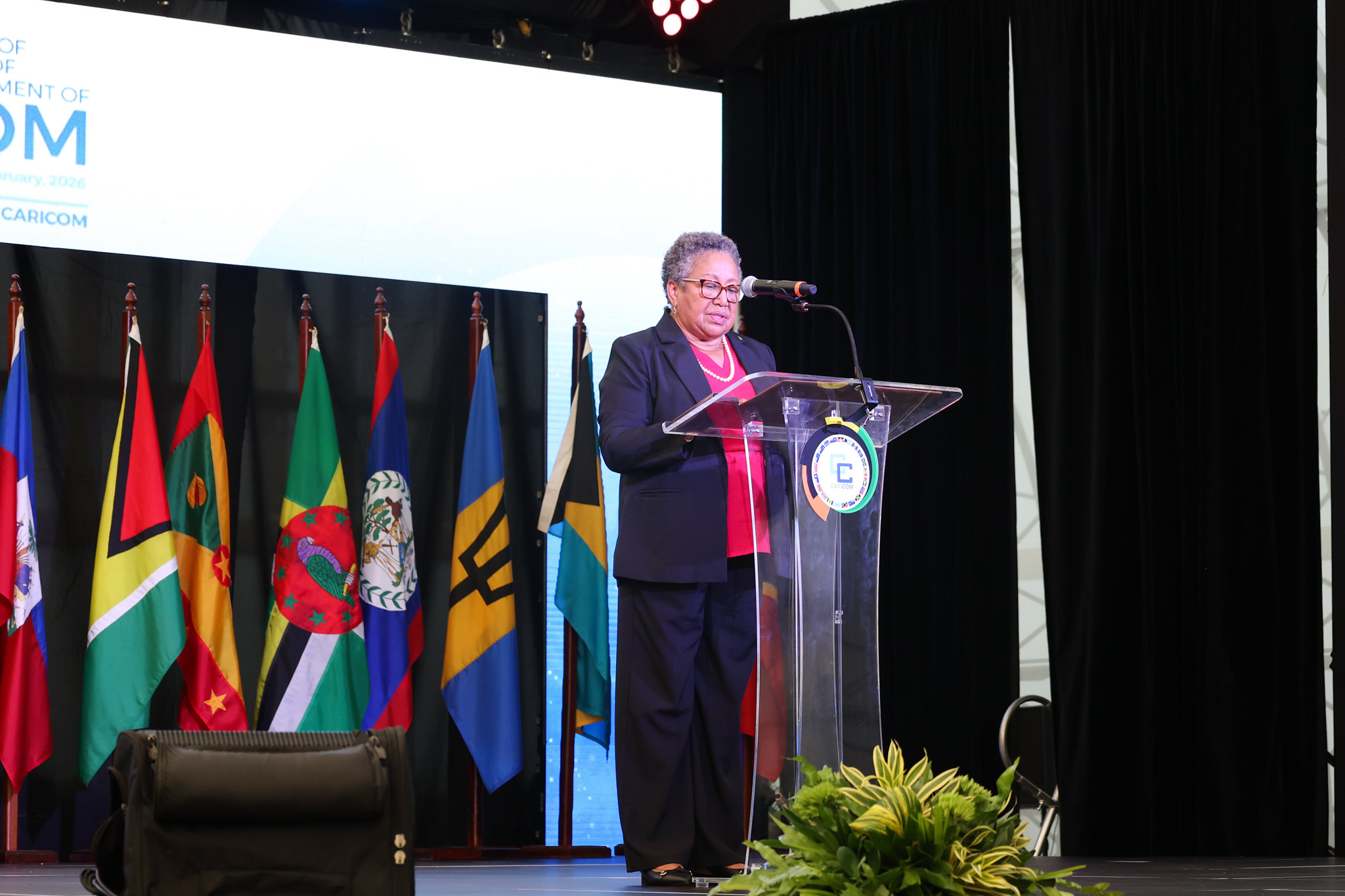 Dr Carla Barnett, Secretary General of the Caribbean Community