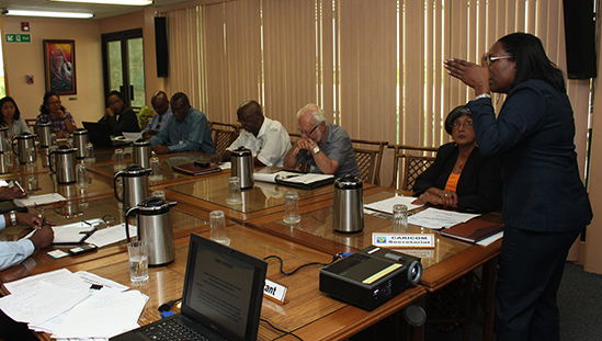 Dr. T. Jennifer Edwards, Consultant on micro small and medium enterprise (MSME) Policy Development, makes a point during consultations with the Guyanese business community at the CARICOM Secretariat on 12 June, 2014.